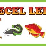 Harga Bersahabat, Rasa Juara: Rekomendasi Pecel Lele Ala Santri Nurul Ummah Putri di Kotagede