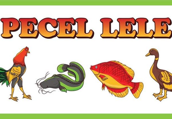 Harga Bersahabat, Rasa Juara: Rekomendasi Pecel Lele Ala Santri Nurul Ummah Putri di Kotagede